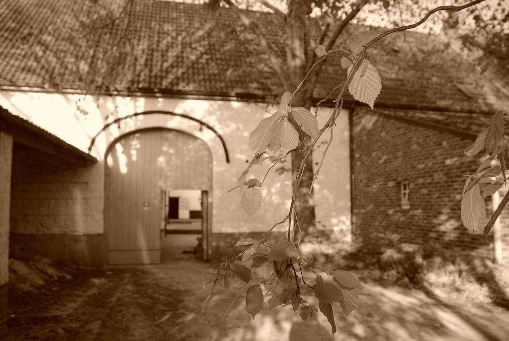 B&B De Oude Winning Riemst Exterior photo